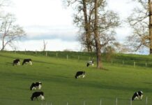 Trazabilidad y Control de Inventarios