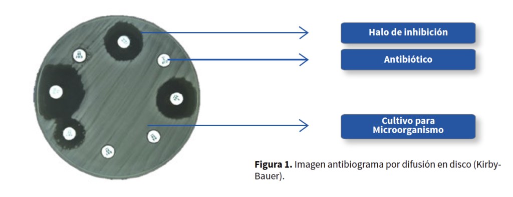 AGROCOLUN | AGROCOLUN | Antibiograma en el Laboratorio Agropecuario | Edición 14 | Edición 14