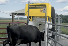 Cowvac… ¡Ya Está Aquí!