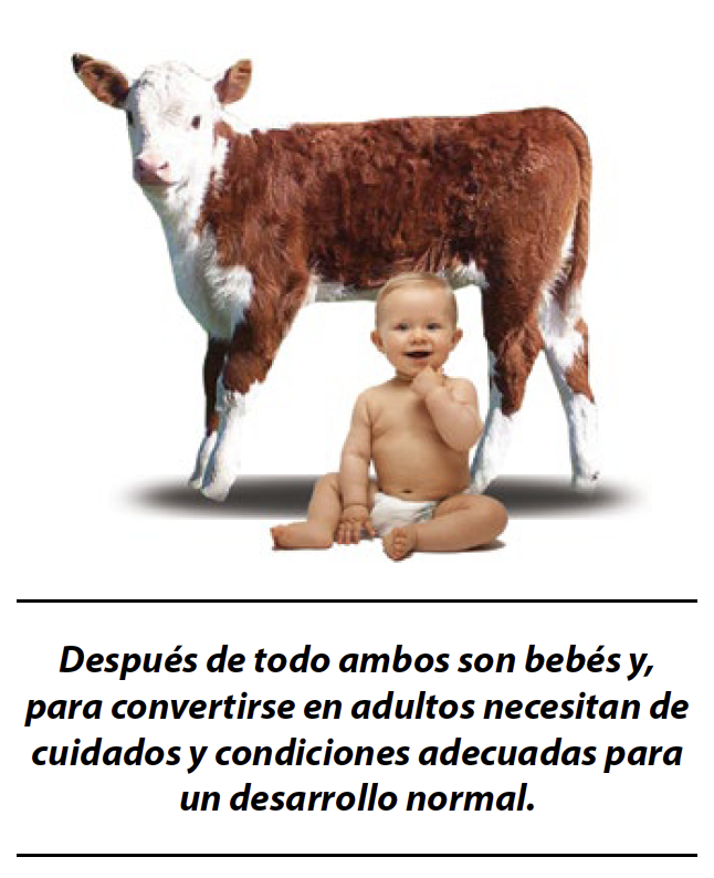AGROCOLUN | AGROCOLUN | Gestionando su Negocio Lechero Costo Crianza de Reemplazos en Lechería | Edición 14 | Edición 14