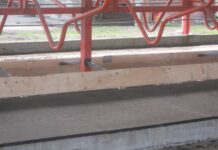 Uso de Goma Eva para Cama de Terneros