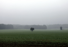 Plan de Riego Zona Sur