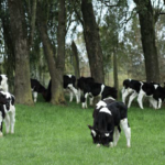 NUTRILAK | Hecho con su Propia Leche