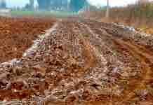 Enmiendas y Encalado de Suelos Encalado de Suelos