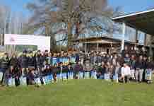 Actividades Colun actividades colun