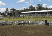 La Microbiología Como Mejorador de los Pozos Purineros al Servicio del Productor Lechero Pozos Purineros