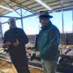 Programa Mi Ternera Colun