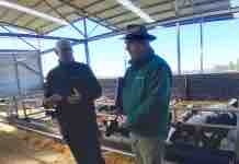 Programa Mi Ternera Colun