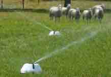 Cambio Climático: La Ganadería solo será Rentable con Riego