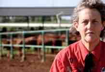 Seminario Temple Grandin: Mejorando el Manejo Animal