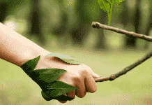 Certificación Ambiental ISO 14001 “Para Crecer de Manera Sostenible en Nuestras Operaciones”