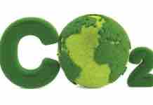 El Ciclo del Carbono y la Vegetación como Sumidero