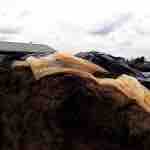 ¿Mejor Preparados para Enfrentar el 2020?