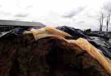 ¿Mejor Preparados para Enfrentar el 2020?