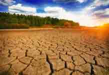 Cambio Climático y su Impacto en la Producción Lechera