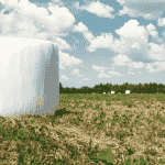 Interpretación de los Análisis de Forrajes Conservados