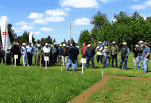 Día de Campo de Ballicas