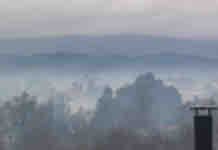 AGROCOLUN | Revista AGROCOLUN | COLUN