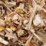 ¿Cómo está mi Ensilaje de Maíz?