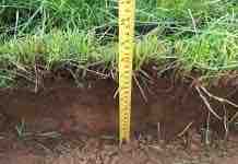 Resultados Concurso Pradera y Suelo Colun