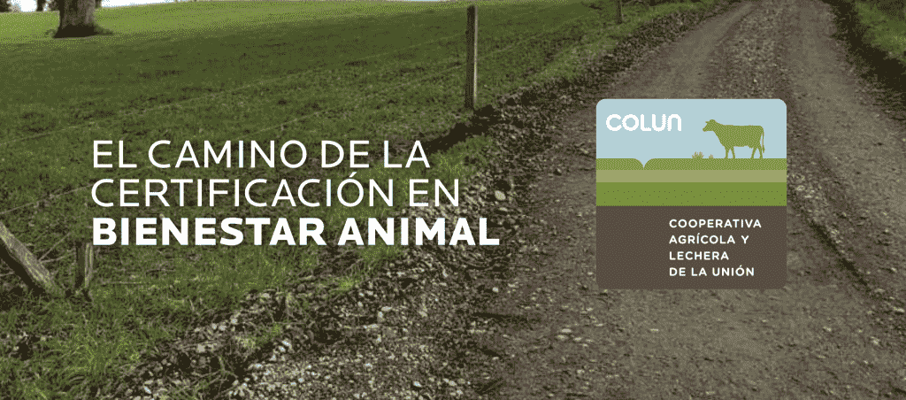 AGROCOLUN | AGROCOLUN | El Camino de la Certificación Internacional en Bienestar Animal | Edición 48 | Edición 48