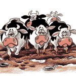 Impacto de la Calidad de los Potreros en la Producción de Leche