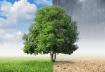 ¿Cómo se Vienen las Condiciones Meteorológicas para el Inicio del Verano 2021?