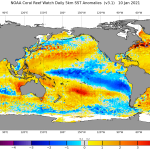 Finalmente ¡Llegó La Niña! La Niña se presenta con cambio de tempraturas en el mar