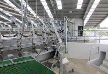 Tecnificación de las Lecherías en Sistemas Pastoriles. Un Avance Progresivo Equipo de ordeña rotativa