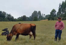 Colun Obtiene la Re-certificación en Bienestar Animal e Incorpora al Primer Productor del SegmentoAgricultura Familiar Campesina COLUN OBTIENE RE-CERTIFICACIÓN EN BIENESTAR ANIMAL E INCORPORA AL PRIMER PRODUCTOR DEL SEGMENTO AGRICULTURA FAMILIAR CAMPESINA