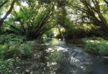 Nuestro Entorno: Regiones de Los Ríos y Los Lagos AGROCOLUN-53-sustentabilidad-de-leche-imagen-0