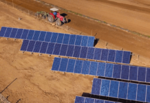 Energía Solar en la Agroindustria ¿La Solución del Futuro o del Presente? AGROCOLUN-53-sustentabilidad-delsantek-de-leche-imagen-0