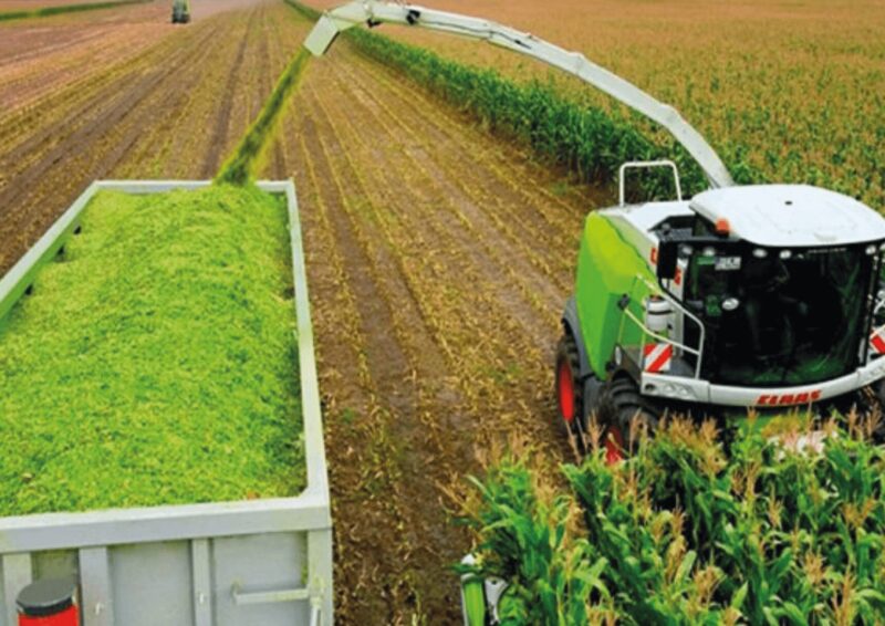 AGROCOLUN 54: Costos de Materia Seca de Cultivos Suplementarios en Verano e Invierno Usados en la Zona Sur