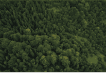 Los Bosques, la Agricultura y la Ganadería. Un Manejo Integral agrocolun-56-agricola-bosques-agricultura-ganaderia-manejo-integral