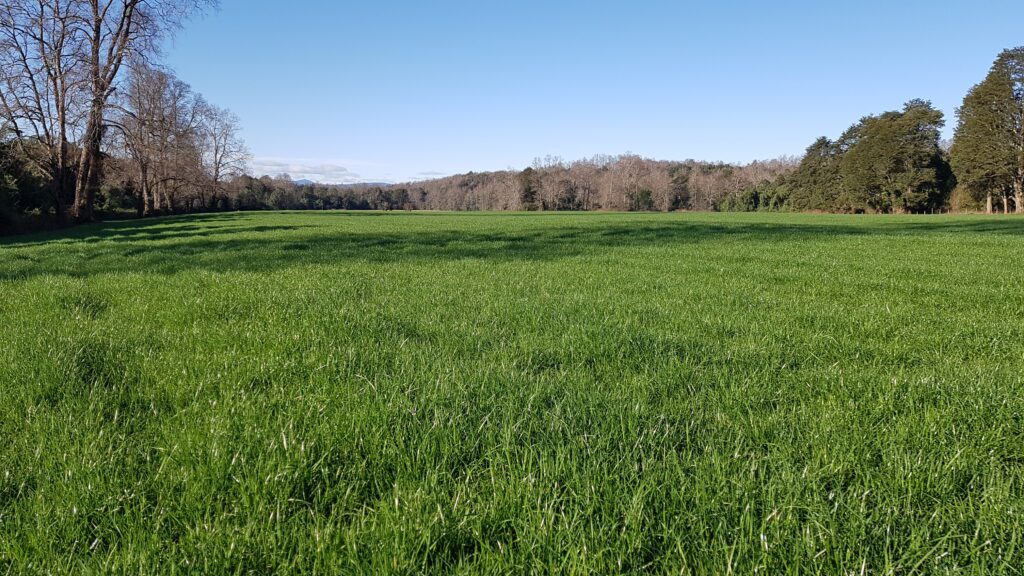 Fall Nitrogen Fertilization Strategies in Prairies