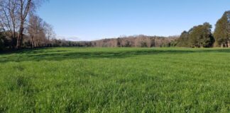 AGROCOLUN | Revista AGROCOLUN | COLUN