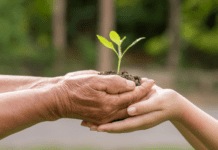 Medio Ambiente: Hoy y Mañana AGROCOLUN 58: Medio Ambiente: Hoy y Mañana