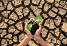 Sequía y la Escasez Hídrica ¿Cómo nos Reinventamos? AGROCOLUN 60 | Sequía y Escasez Hídrica | Sustentabilidad