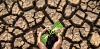 AGROCOLUN 60 | Sequía y Escasez Hídrica | Sustentabilidad