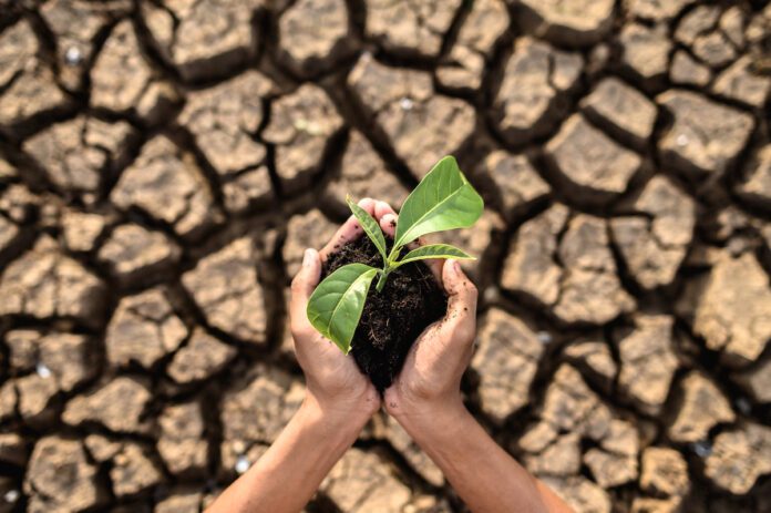 AGROCOLUN 60 | Sequía y Escasez Hídrica | Sustentabilidad
