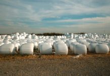 Cálculo de Cuánto Ensilaje se Necesita por Sistema Productivo AGROCOLUN 61 | Impacto de la calidad de leche en el ensilaje | Nutrición Animal