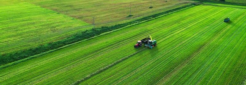 AGROCOLUN 61 | Ensilajes: Costos y algunas consideraciones técnico-económicas | Agrícola