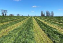 Ensilajes y Maquinaria AGROCOLUN 61 | Ensilajes y Maquinaria | Agrícola