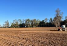 Valores Ideales para Fertilidad y Nutrientes del Suelo para Praderas de las Regiones de Los Ríos y Los Lagos AGROCOLUN | Edición 62 | Laboratorio