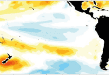 El Primer Mes del Año en el Sur del País: Más Cálido y Menos Lluvioso AGROCOLUN | Edición 64 | PERSPECTIVA AGROCLIMATICA
