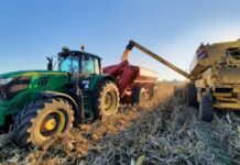 ¿Cómo Saber que Maíz se Adapta Mejor a Nuestro Campo? AGROCOLUN | Edición 64 | COMERCIAL