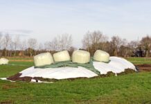 Costos de Materia Seca de Praderas y Recursos Forrajeros Primer Trimestre 2023 AGROCOLUN | Edición 64 | GESTIÓN