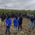 Día de Campo de Maíces AGROCOLUN | Edición 65 | NOTICIAS