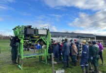 Cojeras en Vacas Lecheras Su Impacto en el Sistema Productivo y el Bienestar Animal