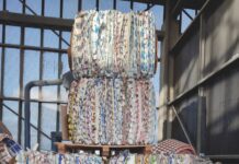 Plásticos y su Impacto en el Medio Ambiente